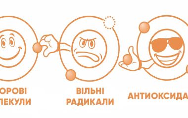 Антиоксиданты и свободные радикалы